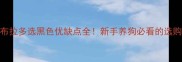 拉布拉多选黑色优缺点全新手养狗必看的选购指南