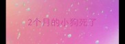 2个月的小狗死了