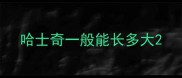 哈士奇一般能长多大
