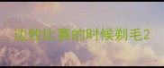 边牧比赛的时候剃毛