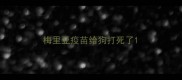 梅里亚疫苗给狗打死了