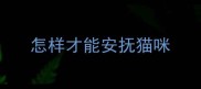 怎样才能安抚猫咪