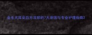 金毛犬耳朵后方流脓的7大原因与专业护理指南