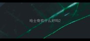 哈士奇有什么好吗