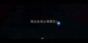 刚出生哈士奇黑色