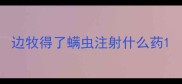 边牧得了螨虫注射什么药