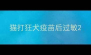 猫打狂犬疫苗后过敏