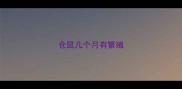 仓鼠几个月有繁殖