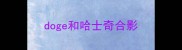 doge和哈士奇合影