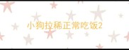 小狗拉稀正常吃饭