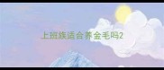 上班族适合养金毛吗