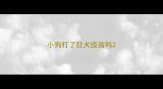小狗打了狂犬疫苗吗