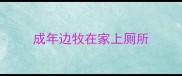 成年边牧在家上厕所
