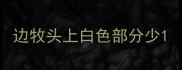 边牧头上白色部分少
