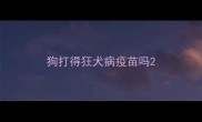 狗打得狂犬病疫苗吗