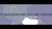 2个月小猫适应新家全攻略新手必看0-8周养护指南