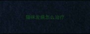 猫咪发烧怎么治疗