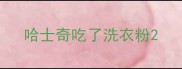 哈士奇吃了洗衣粉