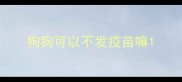 狗狗可以不发疫苗嘛