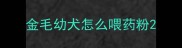 金毛幼犬怎么喂药粉