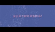 金毛多大能吃米饭肉汤
