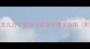 狗狗吐白色液体怎么办症状与家庭护理全指南附紧急处理步骤