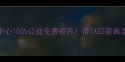 柳州宠物领养中心100公益免费领养带TA回家做温暖家庭成员