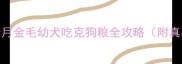 新手必看2个月金毛幼犬吃克狗粮全攻略附真实喂养日记
