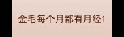 金毛每个月都有月经