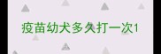 疫苗幼犬多久打一次
