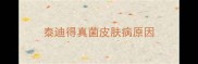 泰迪得真菌皮肤病原因