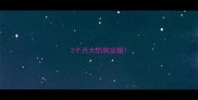 3个月大的狗运输