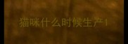 猫咪什么时候生产
