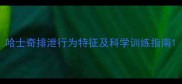 哈士奇排泄行为特征及科学训练指南