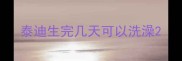 泰迪生完几天可以洗澡
