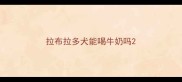 拉布拉多犬能喝牛奶吗
