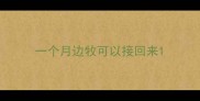 一个月边牧可以接回来