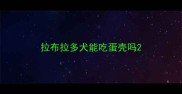 拉布拉多犬能吃蛋壳吗