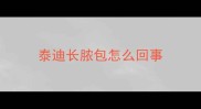 泰迪长脓包怎么回事