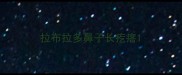 拉布拉多鼻子长疙瘩