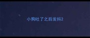 小狗吐了之后发抖