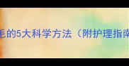 金毛犬快速脱毛的5大科学方法附护理指南及常见误区
