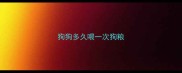 狗狗多久喂一次狗粮