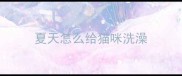夏天怎么给猫咪洗澡