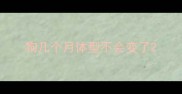 狗几个月体型不会变了