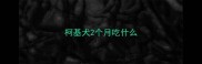柯基犬2个月吃什么