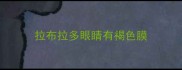 拉布拉多眼睛有褐色膜