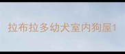 拉布拉多幼犬室内狗屋