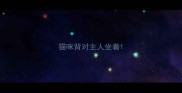 猫咪背对主人坐着