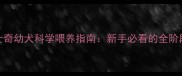 1个月大哈士奇幼犬科学喂养指南新手必看的全阶段营养方案